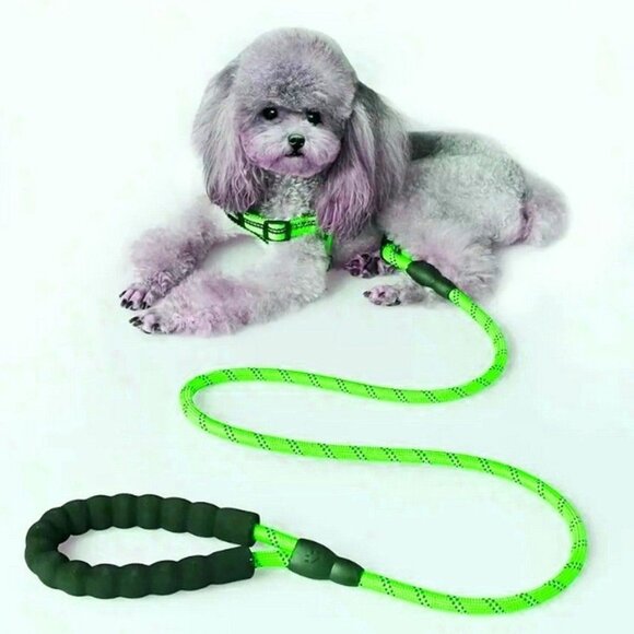 Tadeo Dash Green Reflective Rope Leash with Padded Loop Handle and Rotating Clip - Picture 1 of 9